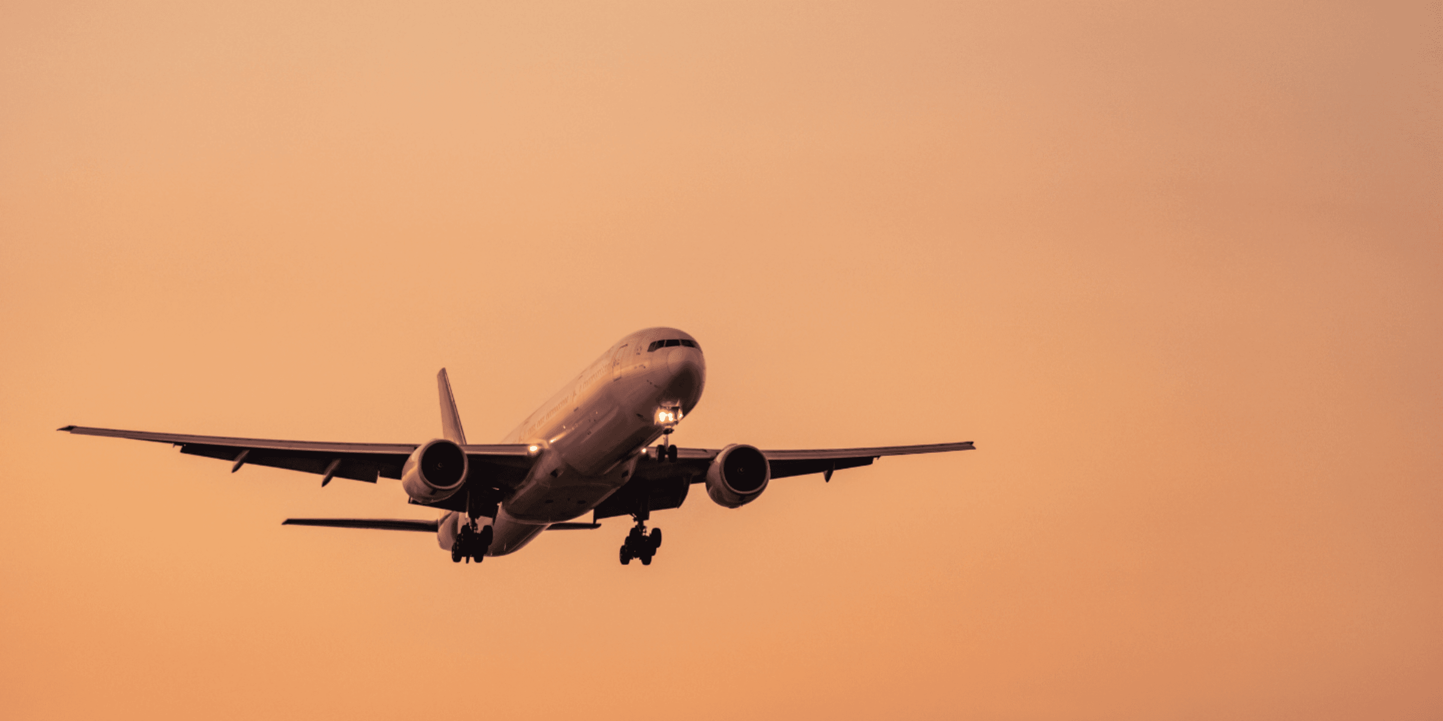 Flights