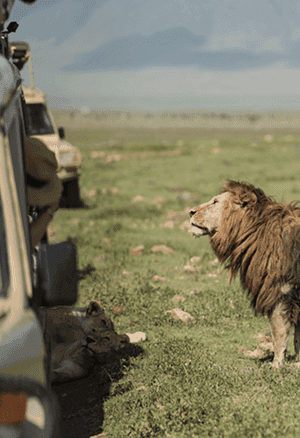 Wildlife Hotspots