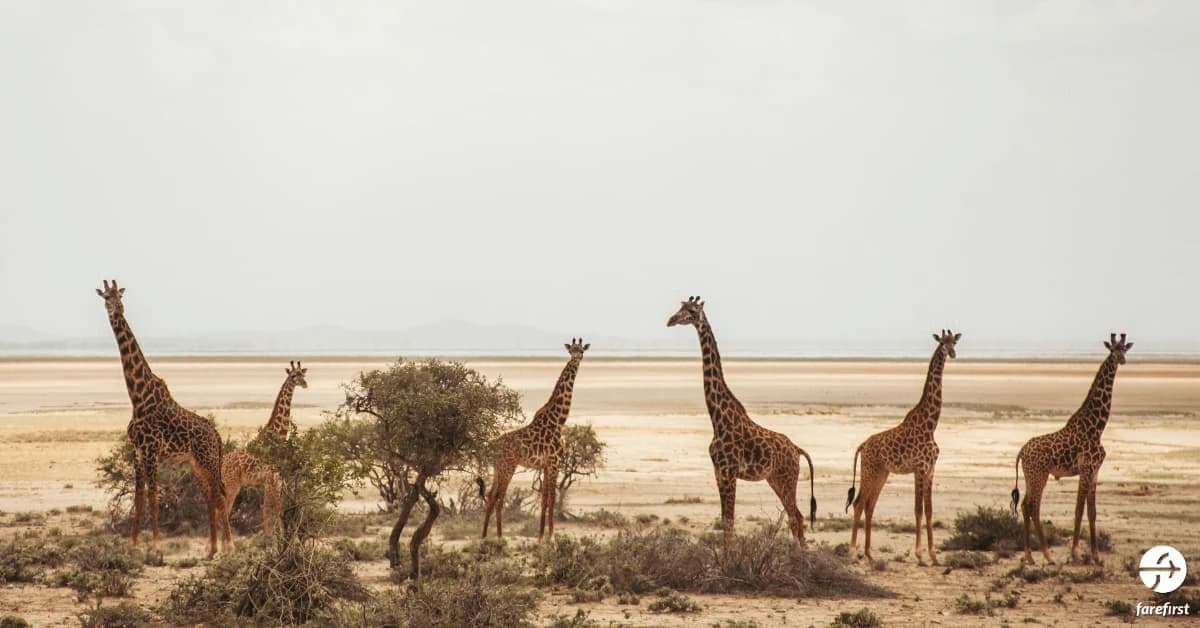amboseli-national-park