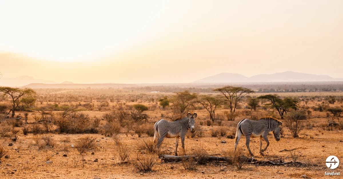 samburu-national-reserve